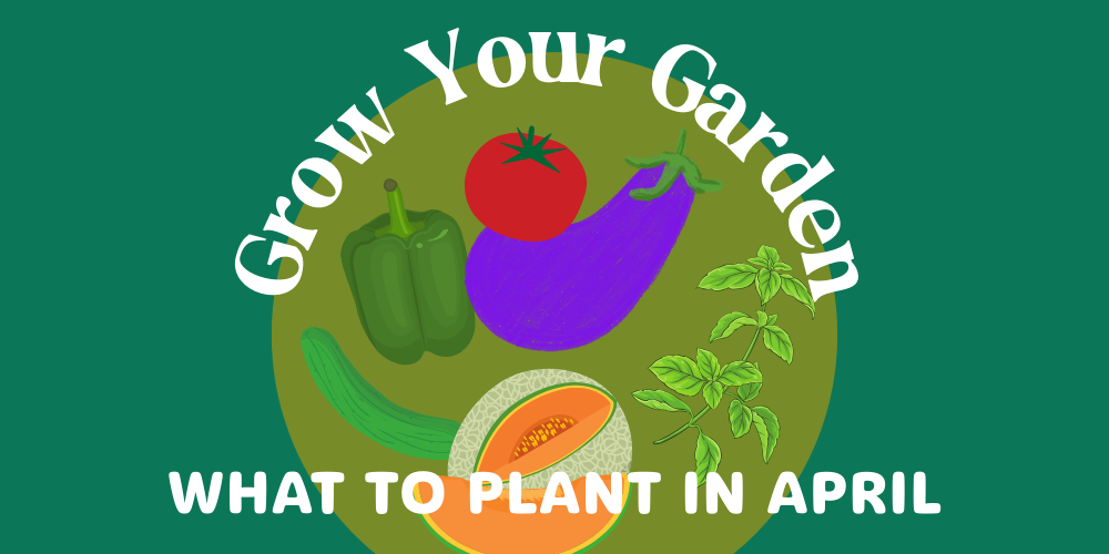 Gardening Tips — What To Plant in April | Wild About Wellness Blog