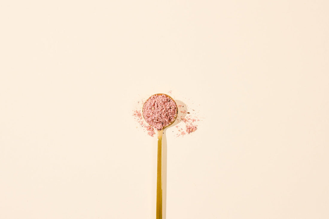 Best Fiber Powder for Gut Health (2026 Guide)